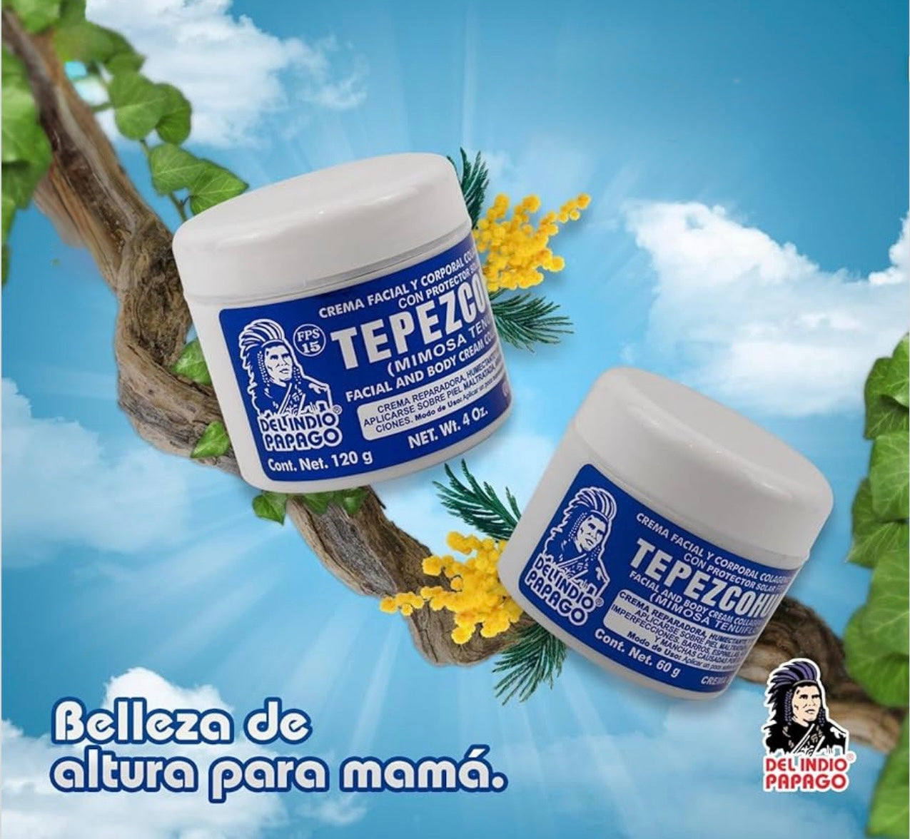 Tephezcohuite
